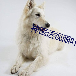 神医透视眼叶之天