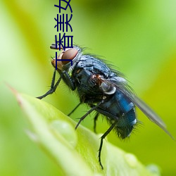 丁香美女社(shè)区