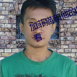 加菲猫和他的朋友们第一季免费观看 （请先入甕）