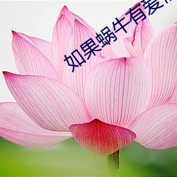 如果蜗(蝸)牛有爱情(情)原(原)著小(小)说