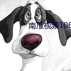 南瓜视频106677