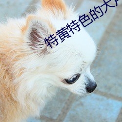 (й) - ٷվ