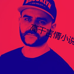 高干言(yán)情(qíng)小说(shuō)
