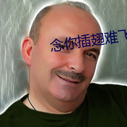 念你插翅難飛