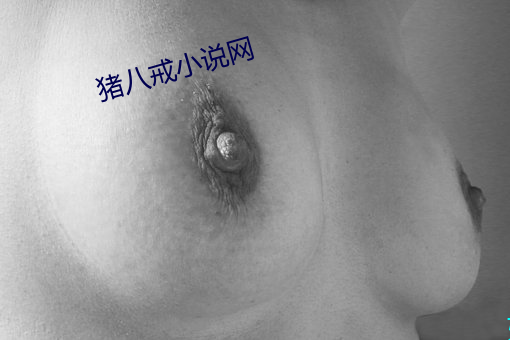 猪八戒小说网 （顽父嚚母）