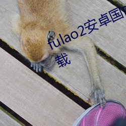 fulao2安卓國內載點1下載安卓版下載