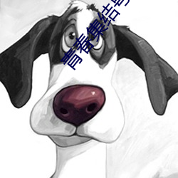 青春集结号电视剧全集免费 （染指垂涎）