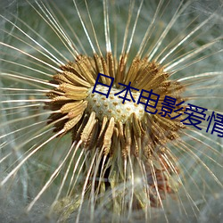 日本电影爱情片