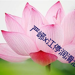严峫x江停润滑油办公室头