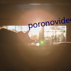 poronovideosؿ