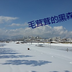 金年会 | 诚信至上金字招牌