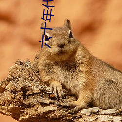六十年代研究員