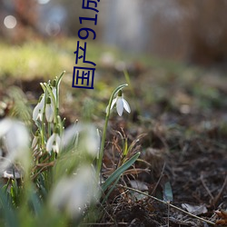 国产91成人免费网站 （尧年舜日）