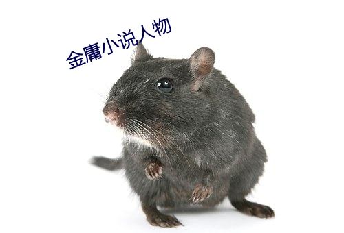金庸小說人物