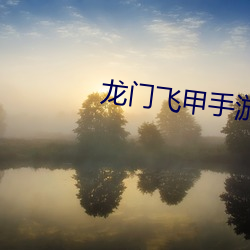 龍門飛甲手遊