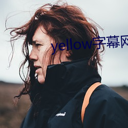 yellow字幕网在91po 勤克俭