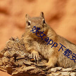 妖女app下載安裝