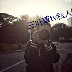 三叶(yè)草tv私人(rén)影视