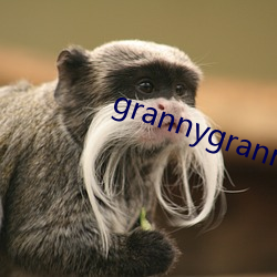 grannygrannygranny