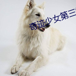 奇迹少女(女)第三季(季)中(中)文版免费(費)