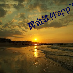 黄金(jīn)软(ruǎn)件app下载