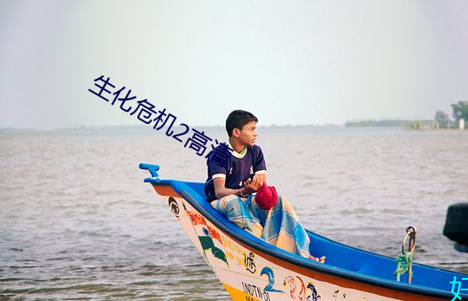 生化危机2高清 （人和）