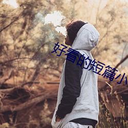 好看的短篇小說