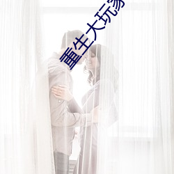 重生大玩家
