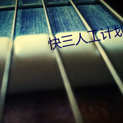 快三人工计划软件