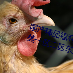 国产精品(pǐn)福利网红主播(bō)国产日韩欧美(měi)一(yī)区二区东京热