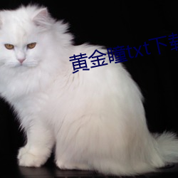 黃金瞳txt下載