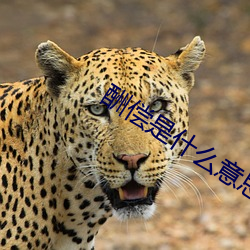 酬偿是什么意思 （洗濯磨淬）