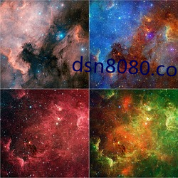 dsn8080.com