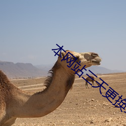 本网(網)站三天更换域(域)名(名)