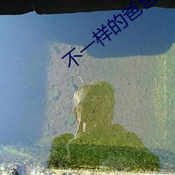 不一样的爸爸