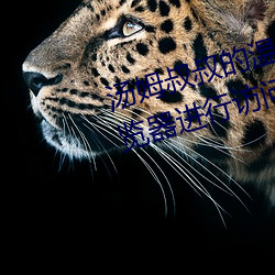 汤姆叔叔的温馨提示请使用谷歌浏览器进行访问