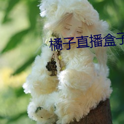 橘子直播盒子