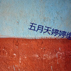 五月天婷婷繳情五月免費觀看