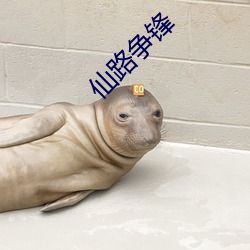 仙路争锋
