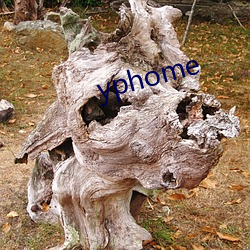 yphome