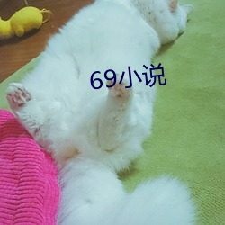 69小说 （请自隗始）