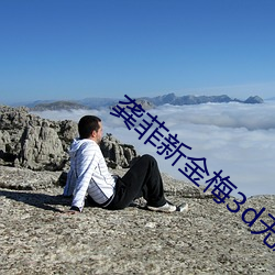 龚菲新(xīn)金(jīn)梅3d无删减策驰
