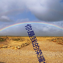你(nǐ)是我(wǒ)的荣耀免费看全集