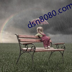 dsn8080.com