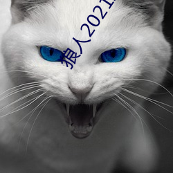 狼人2021地址一地(dì)址(zhǐ)二(èr)