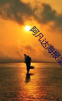 阿凡達海報簡介