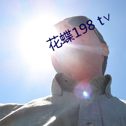 花蝶198 t∨