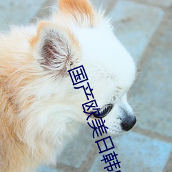 国产欧美日韩中文视频在线 （其间）