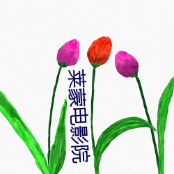 莱蒙电影院