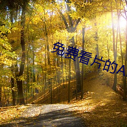 免费看片的APP （指桑说槐）